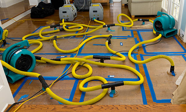 Professional Sewage Cleanup technician working in Lyons, WI
